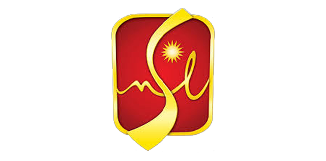 Hostinger logo